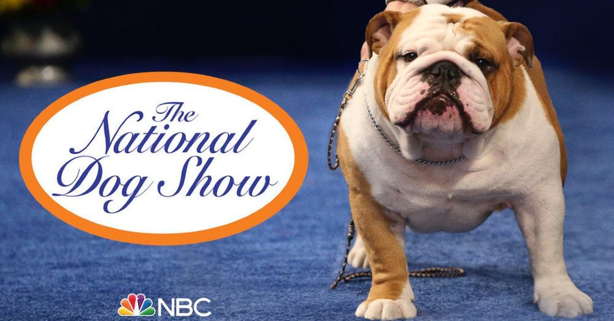 Who Are the Hosts of the National Dog Show? They're WellTrained