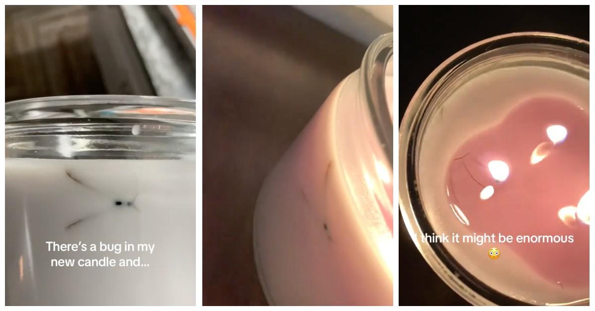 A woman found a crane fly in a brand-new candle