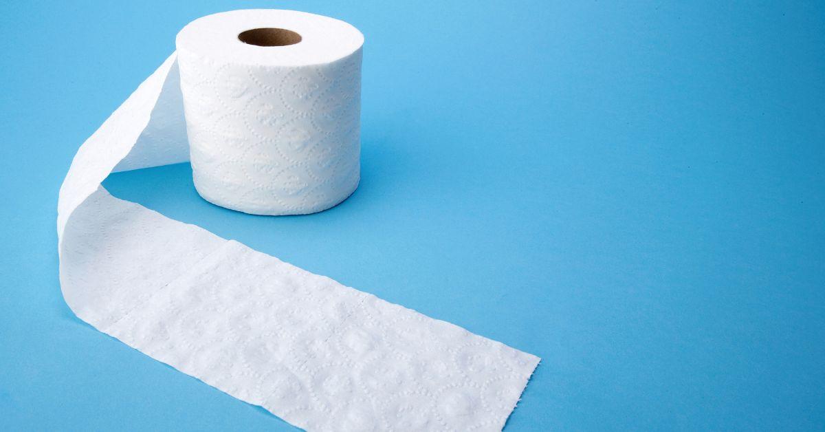 I Have Words for Whoever Invented This TikTok Toilet Paper Hack
