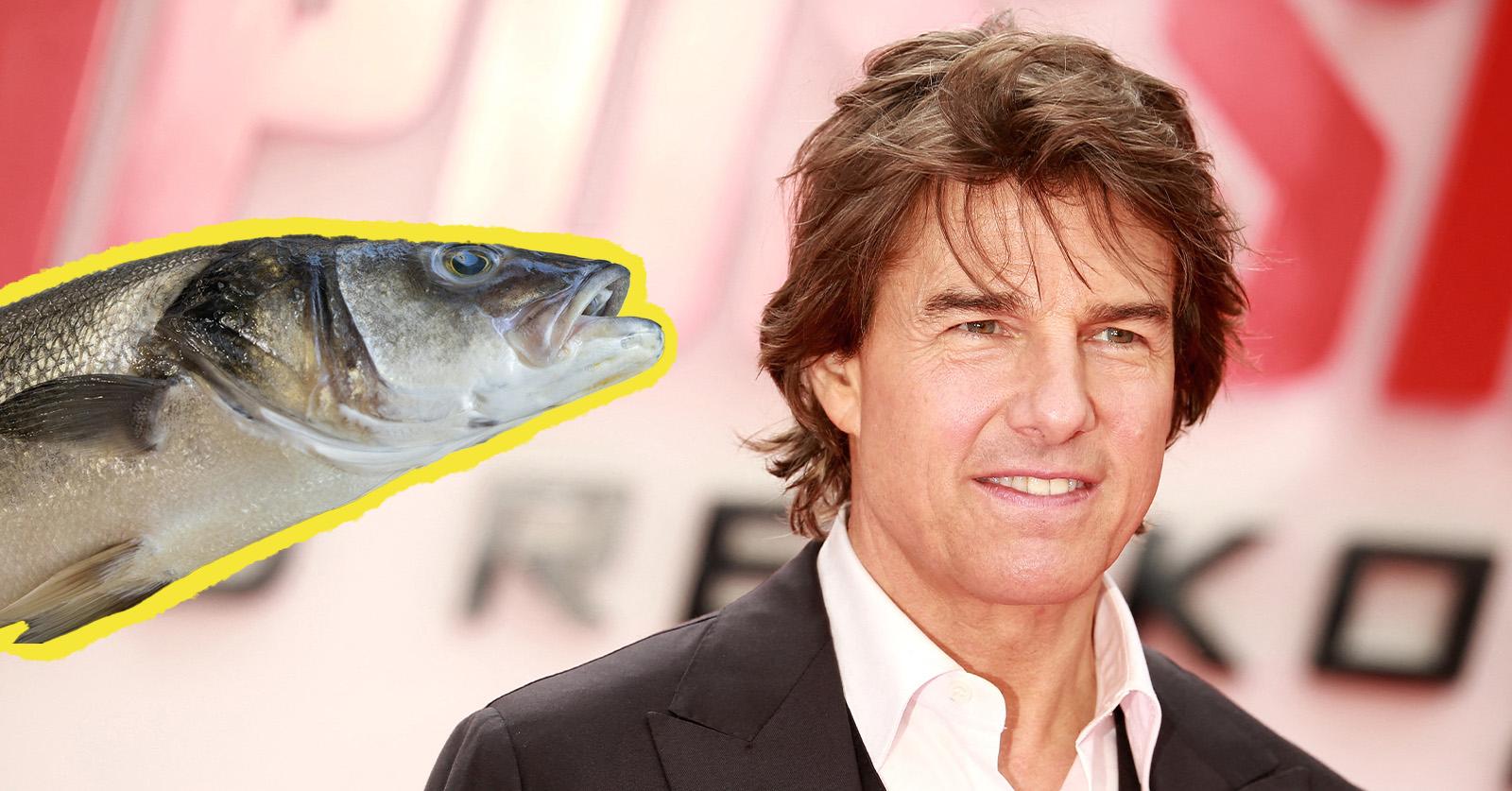 tom cruise fish