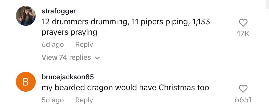 tiktok comment christmas tree bugs