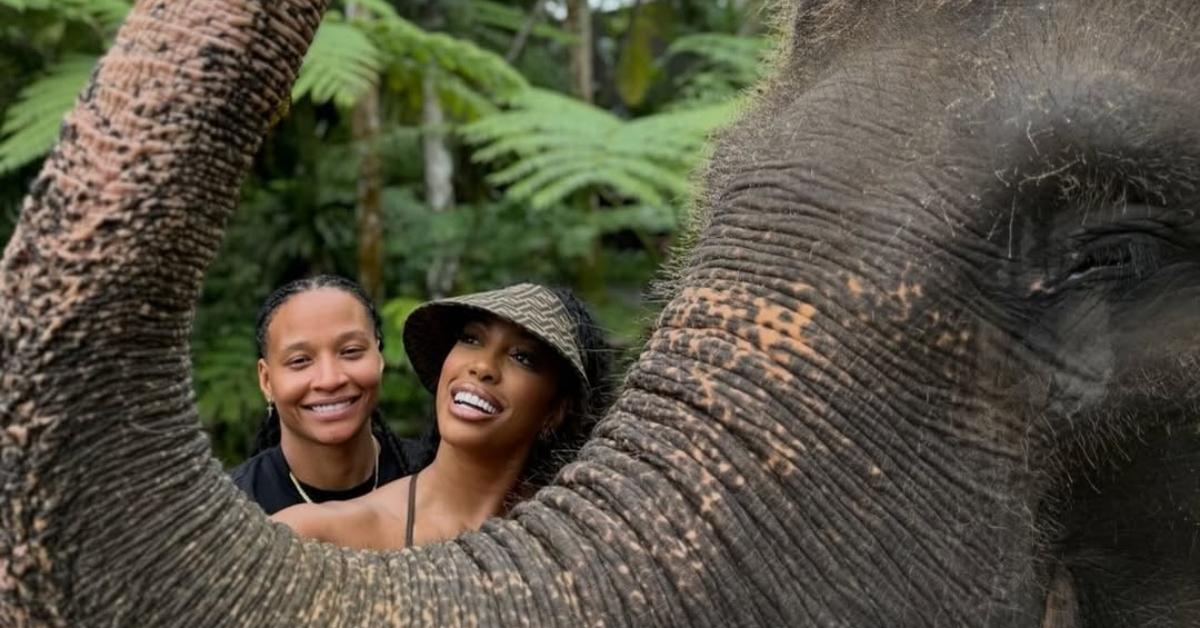 Porsha Williams and Patrice Sway Mckinney's Relationship