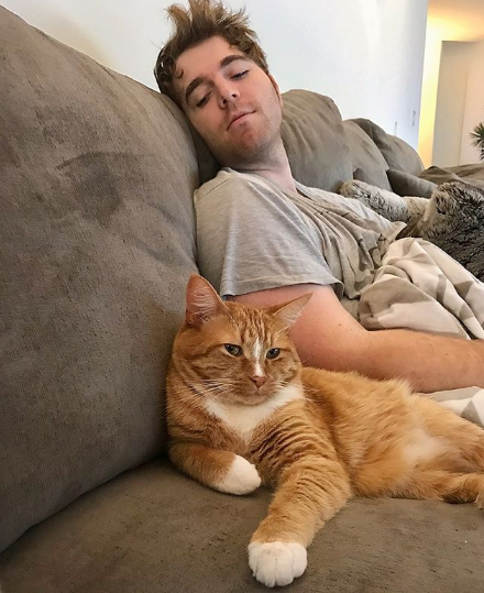 what did shane dawson say about his cat