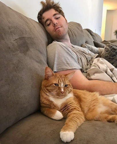 Here's What YouTube Star Shane Dawson Said About His Cat...