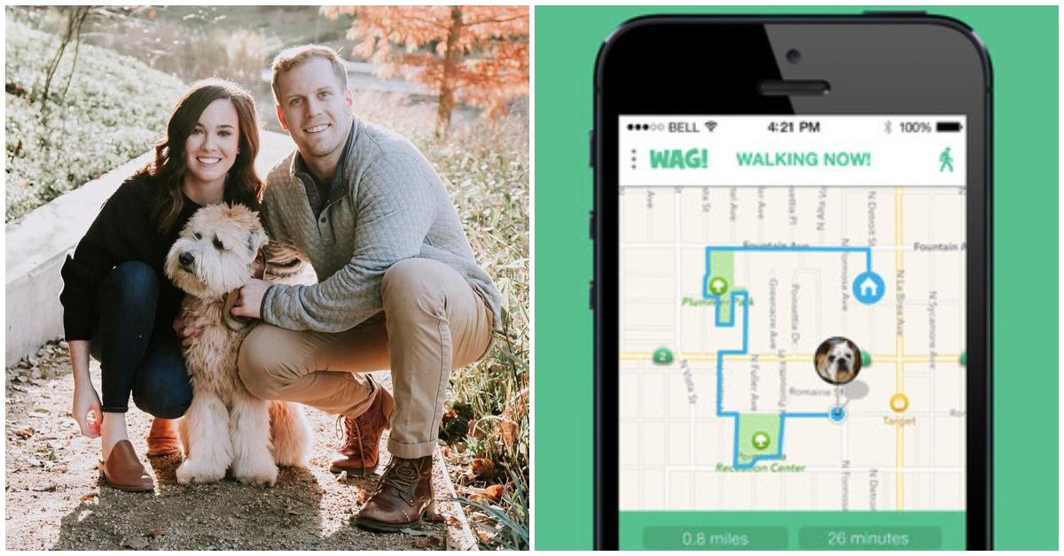 Wag dog deals walking app