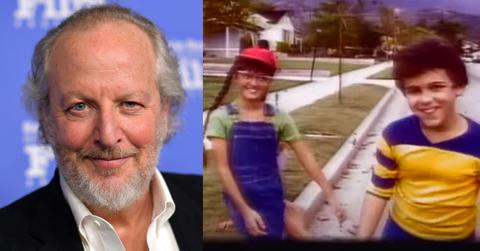 Daniel Stern, The Wonder Years