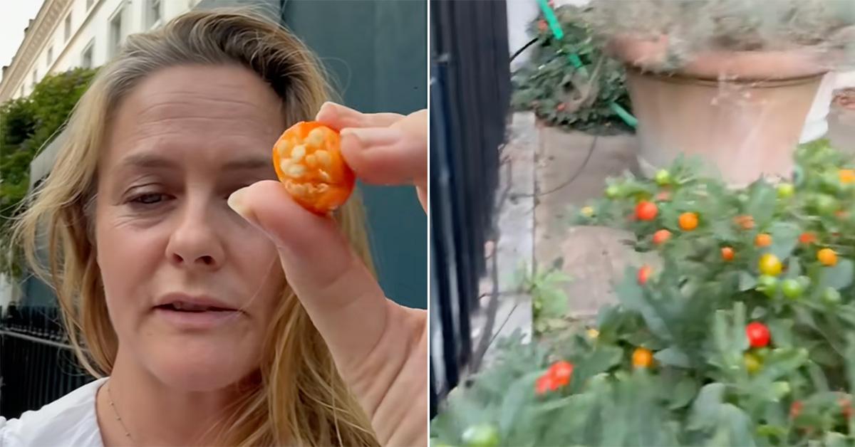 Alicia Silverstone holding a winter cherry.