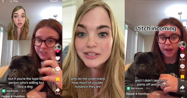 Dog Pees on Trader Joe's Groceries