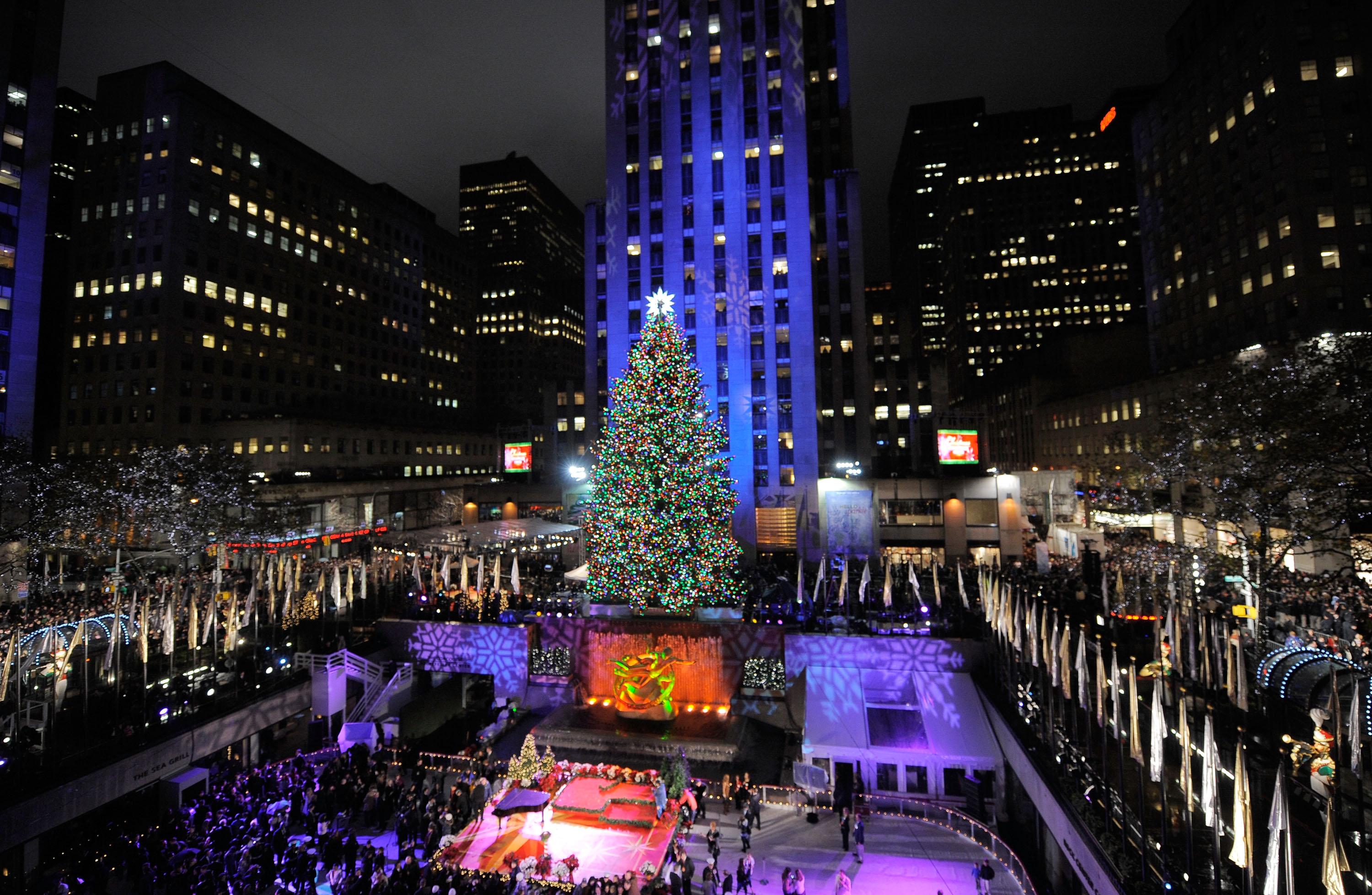 See York Christmas tree cut, moved and set on Continental Square