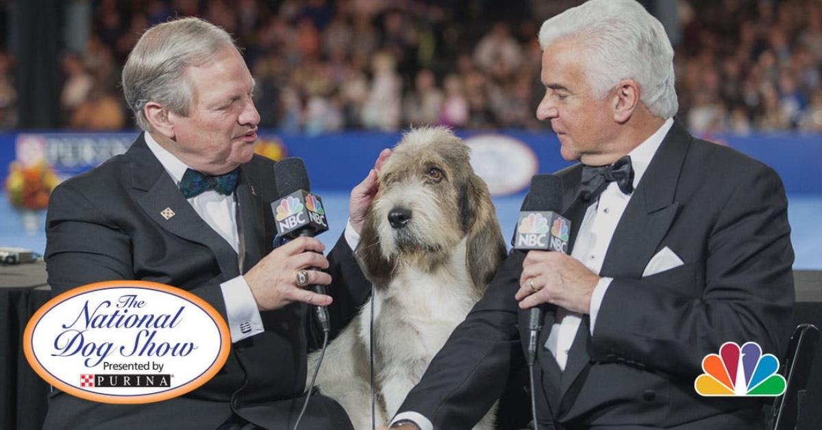 Who Are the Hosts of the National Dog Show? They're WellTrained