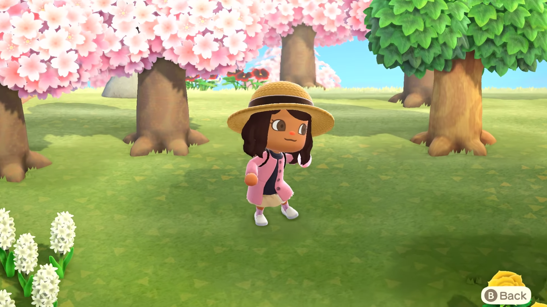 When is Cherry Blosson season in Animal Crossing: New Horizons?