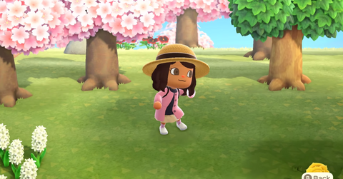 blossoming into cherry blossom season animal crossing_ new horizons screenshot