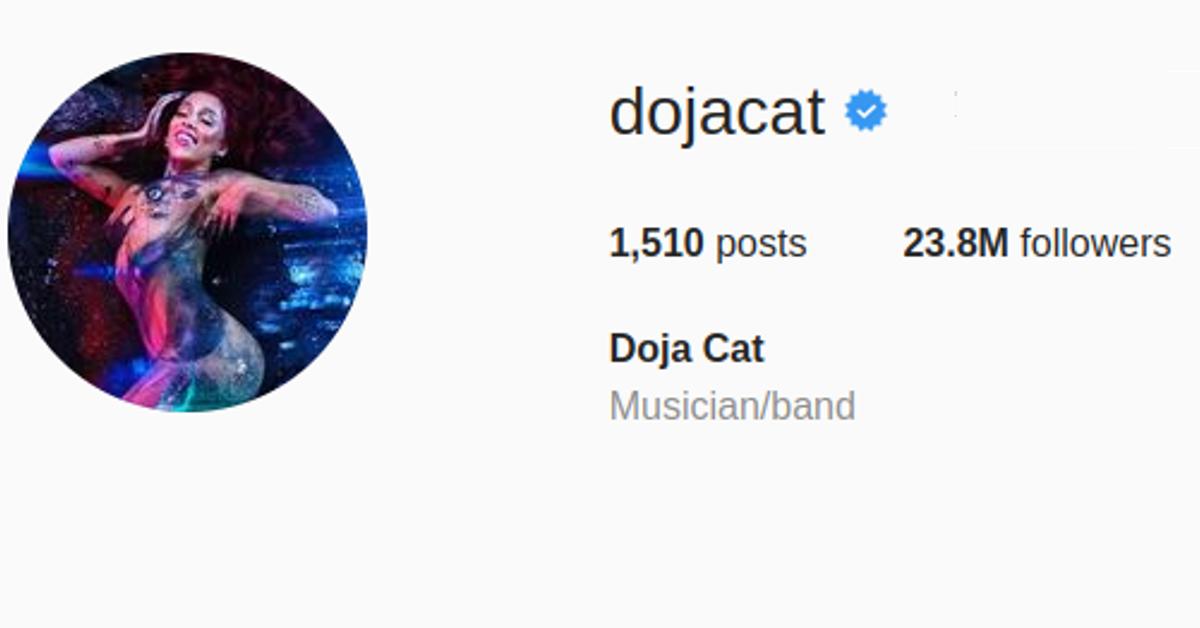 What Does the Blue Check Mean on Instagram?