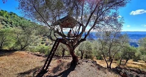a man sits in a treehouse