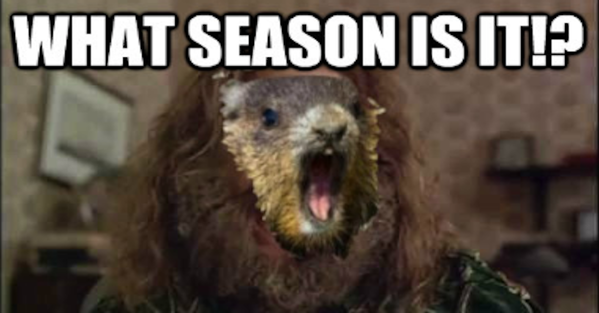Funny Groundhog Day Memes You Can Laugh at No Matter the Forecast