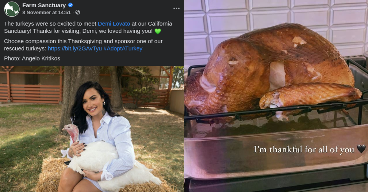 Demi Lovato Called "Hypocrite" for Hugging Turkeys Before Thanksgiving