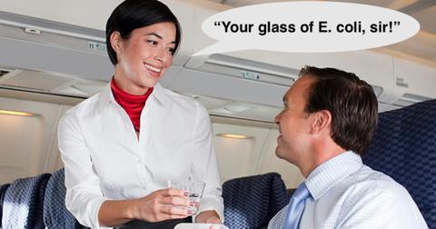 airline-hostess-1573060659719.jpg