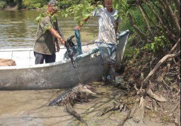 what happened to randy swamp people