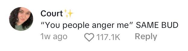 Comment on TikTok of woman explaining how a guy screamed at her for using a wheelchair.