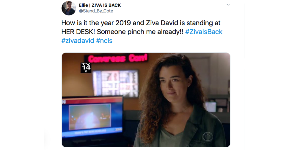 twitter ziva is back