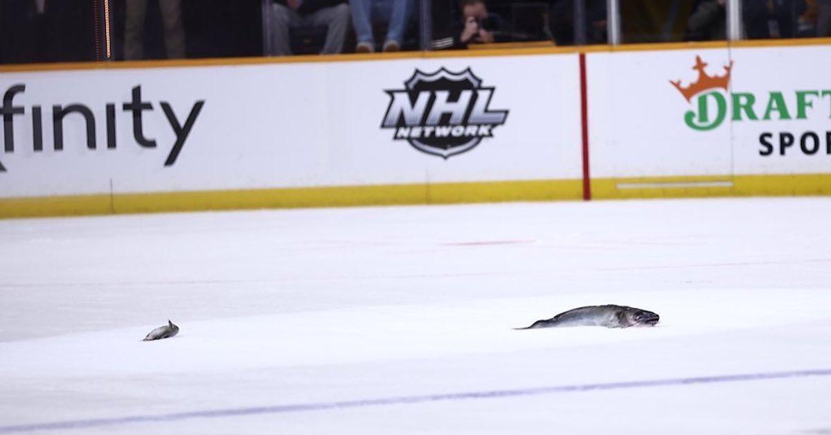 Predators: Why do Preds fans throw catfish during the NHL Playoffs?