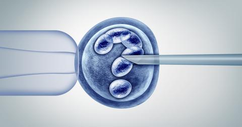 1-ivf-wrong-embryo-1562861265939.jpg