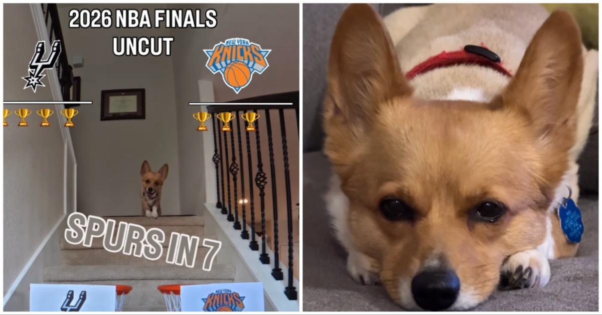 Air corgi predicts that the San Antonio Spurs will win the NBA Finals.