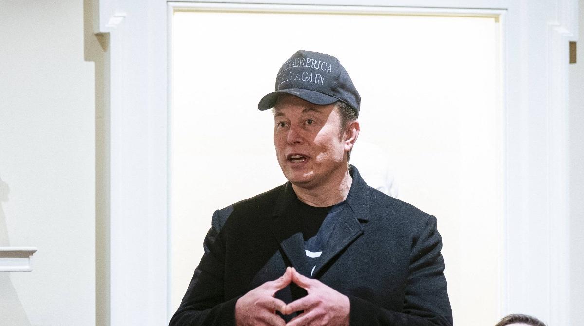 What Is The Percentage Of Tesla Owned By Elon Musk what-is-the-percentage-of-tesla-owned-by-elon-musk
