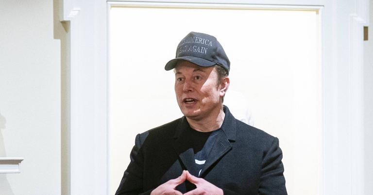 What Is the Percentage of Tesla Owned by Elon Musk?