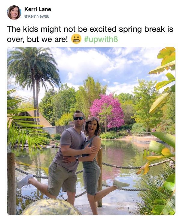 spring break meme