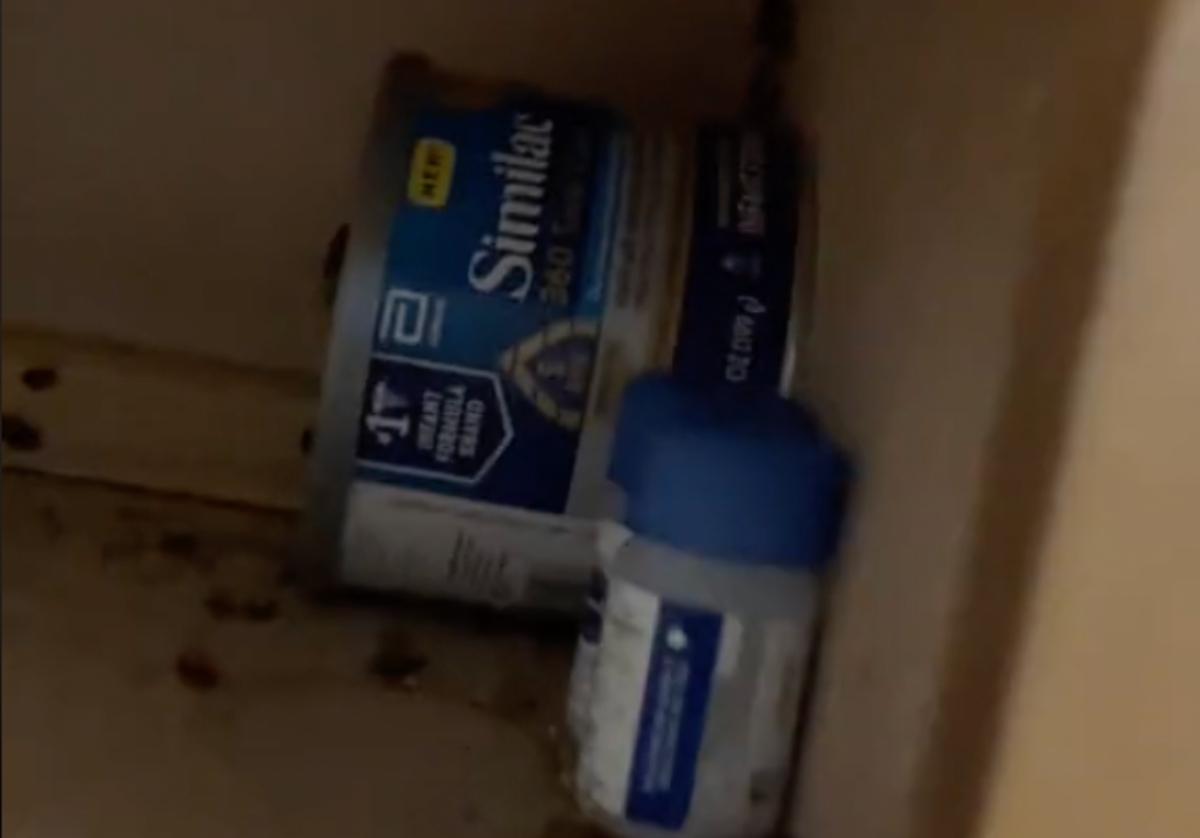 Woman Goes Viral After Sharing Cockroach Infested Apartment