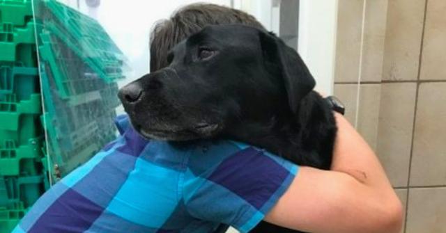 Corey_dixon_dog_died