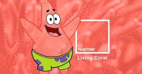 PatrickStar PantoneThumb