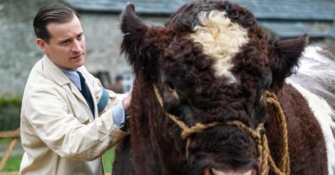 'All Creatures Great and Small'