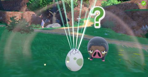 Egg in 'Pokémon Scarlet' and 'Violet'