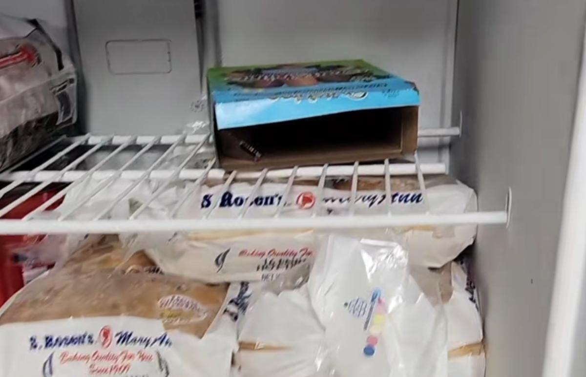 Freezer without ice cream shared on TikTok