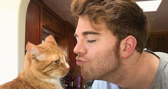 what did shane dawson say about his cat