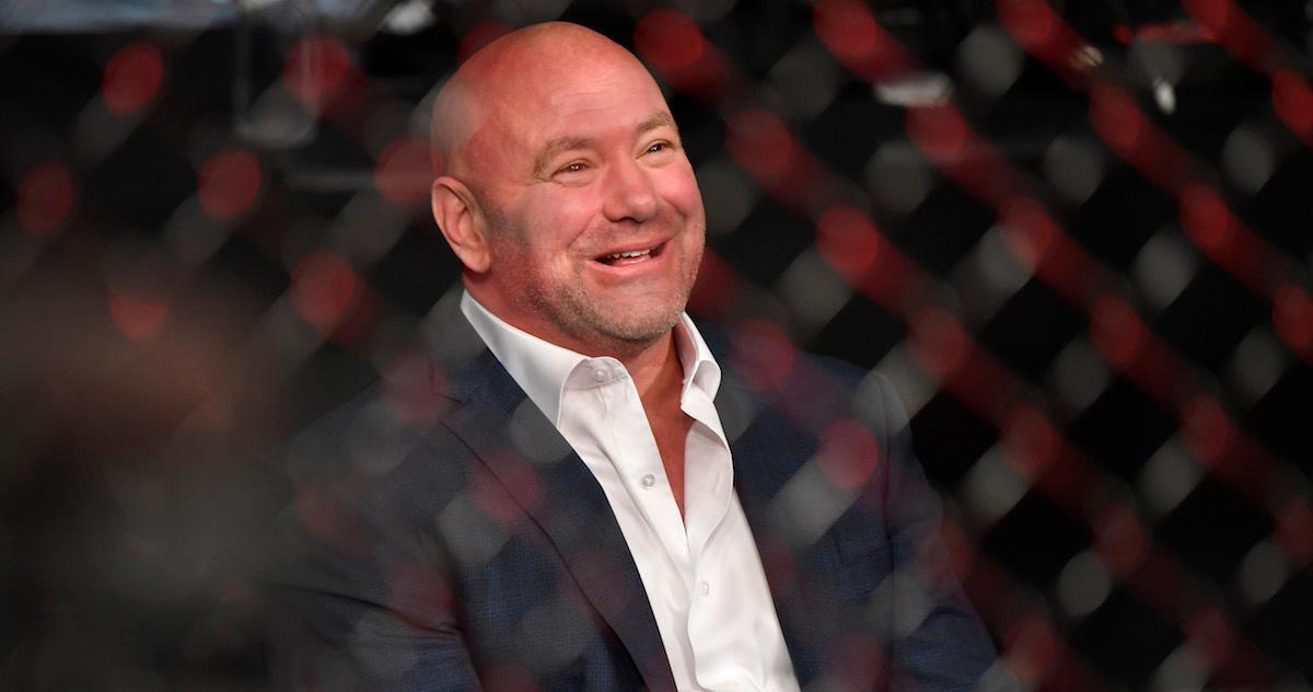 dana white