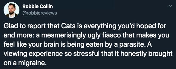 cats reviews