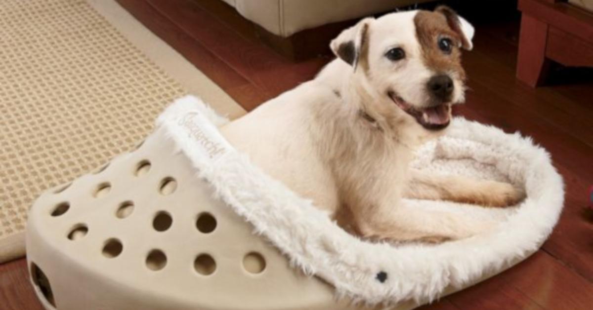 If Your Dog Loves Chewing on Slippers, You Need This Giant Shoe Bed