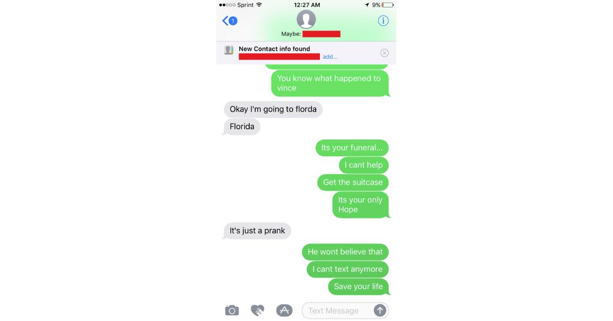 brother sister phone thief troll