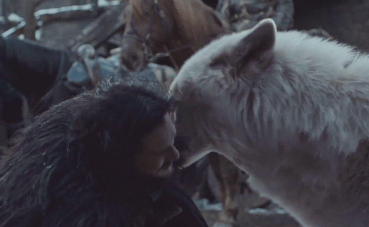 Jon Snow Petted Ghost And It Was The Best Moment Of 'Game of Thrones'