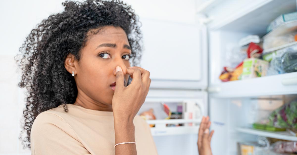 Your ice maker is actually disgusting—here's how to clean it