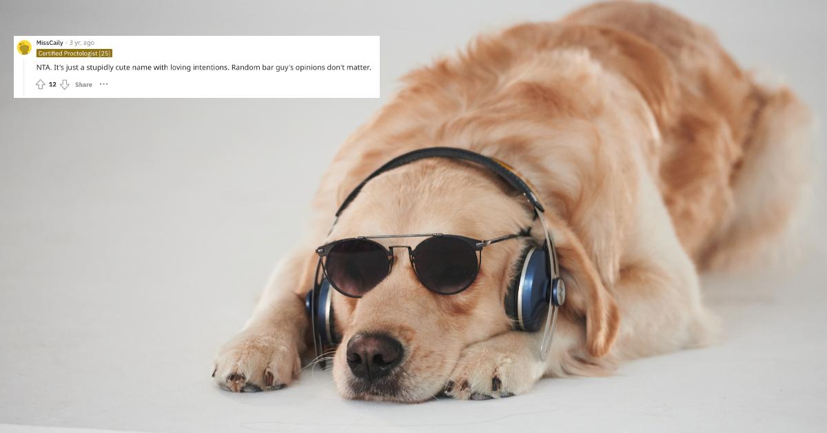 Man Gets Mad at a Pet Owner for Naming Their Dog Stupid