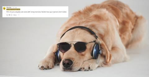 A pet owner revealed they named their dog Stupid.