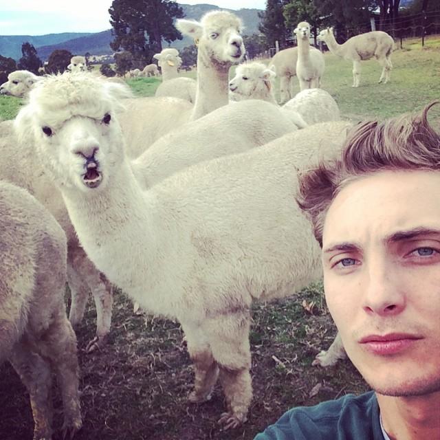 eamon farren the witcher cahir