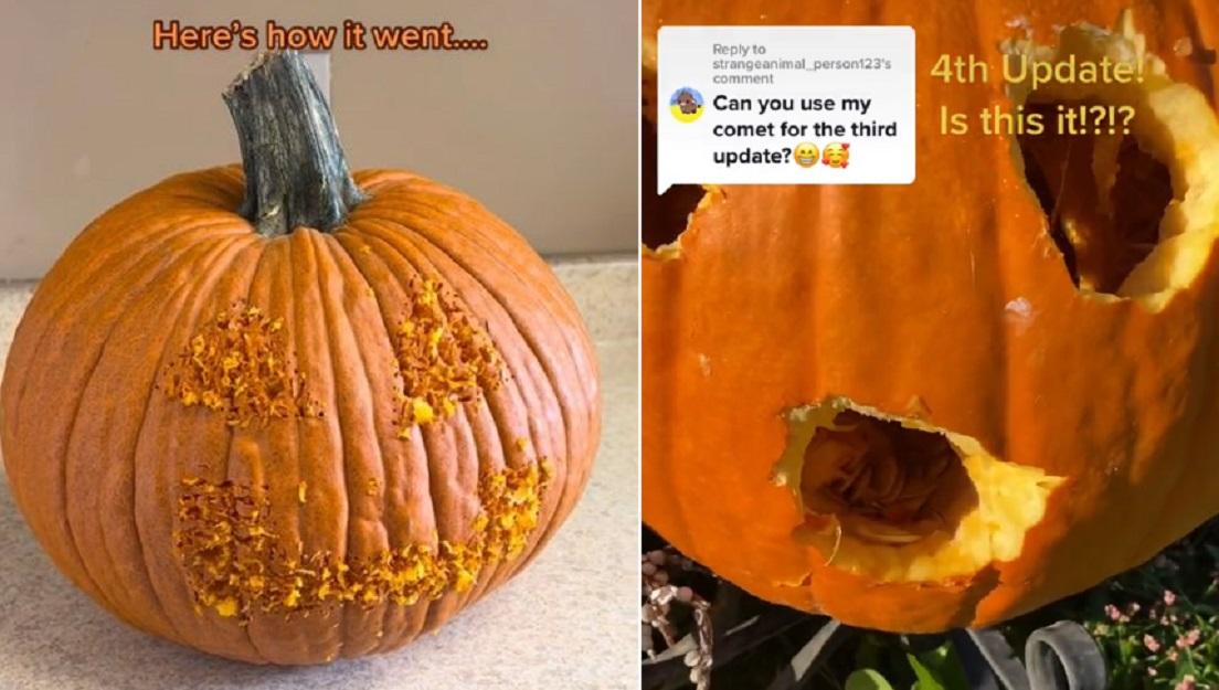 The Truth About TikTok's Chicken Pumpkin Carving Challenge