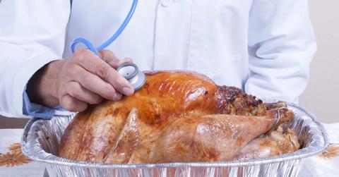 A doctor assessing a turkey with a stethescope.