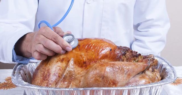A doctor assessing a turkey with a stethescope.