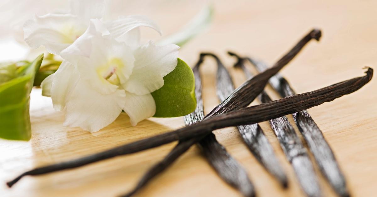 Where Does Vanilla Flavoring Come From? TikTok Says Beaver Butts